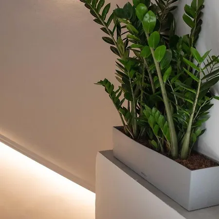 Live The Local Life , Old Town 公寓 *