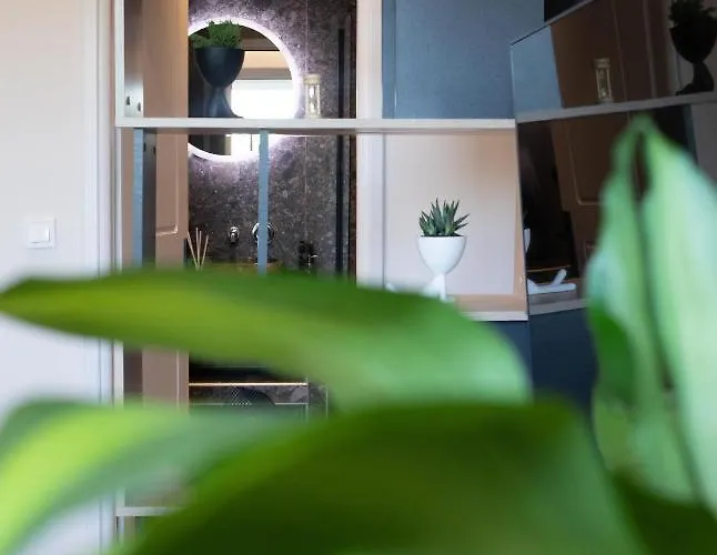 Live The Local Life , Old Town * Cós